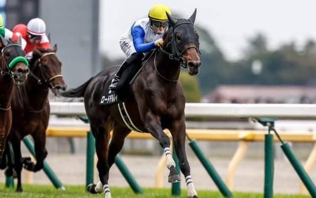 【鳴尾記念予想オッズ】ロードデルレイが予想1番人気