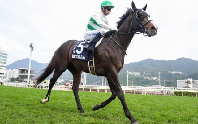 【安田記念展望】春のマイル王決定戦、勢いのある差し馬が狙い目