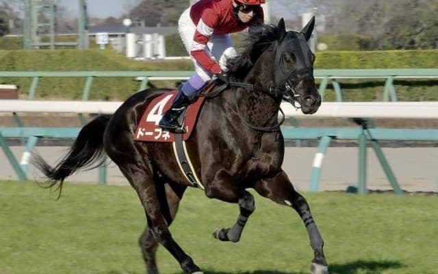 ウマ娘・藤田晋オーナーの5億円馬が安田記念参戦 約2年半ぶりのGI舞台でタイトル狙う