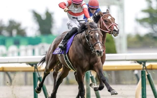 【安田記念予想】波乱予想!? AIが推奨したオッズ妙味のある伏兵とは？