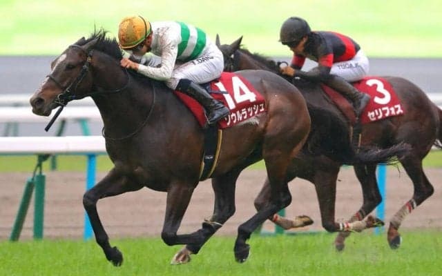 英サセックスステークスにソウルラッシュが登録