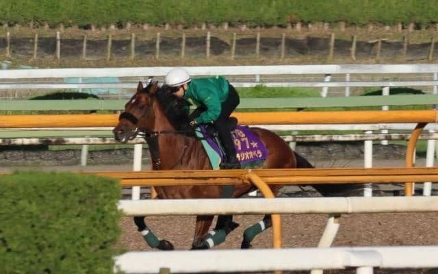 ベラジオオペラなど、宝塚記念追い切り速報/栗東トレセンニュース