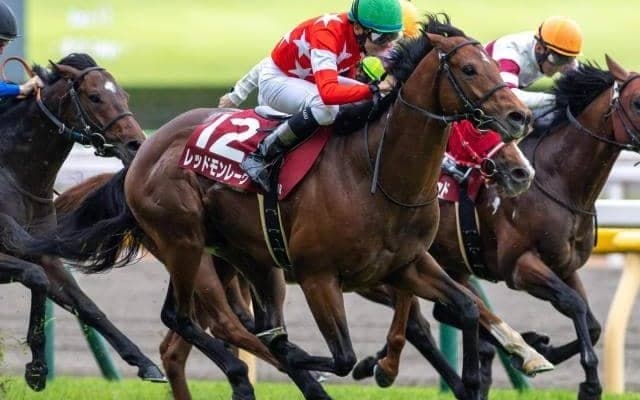 一族初のマイルGI制覇へ 蛯名厩舎の東京巧者が安田記念で戴冠狙う