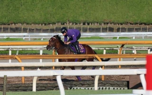 ドウデュース、宝塚記念追い切り速報/栗東トレセンニュース