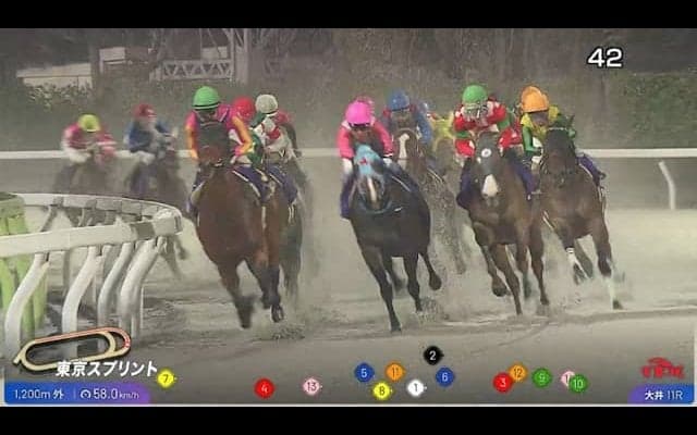 大井競馬でトラッキングシステムの運用開始 東京ダービーからスタート