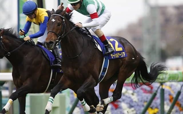 母はG1を2勝 「新種牡馬」サートゥルナーリア産駒の期待馬がデビューVなるか