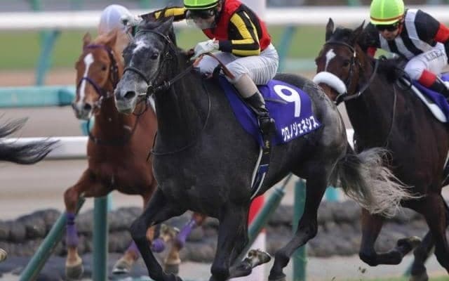 JRA勝ち上がり率80％超！ ノーザンファーム産のバゴ産駒が今年も魅せる