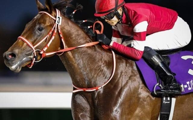 ウマ娘・藤田晋オーナーの1億3000万円馬 現3歳世代の活躍に続いてデビューVを飾るか