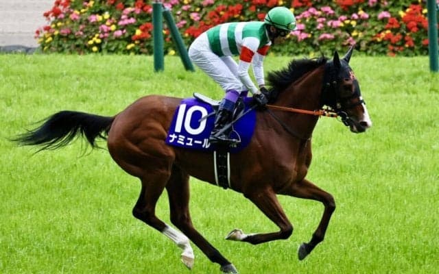 【安田記念】ナミュールはプラス10キロ…出走馬の調教後の馬体重