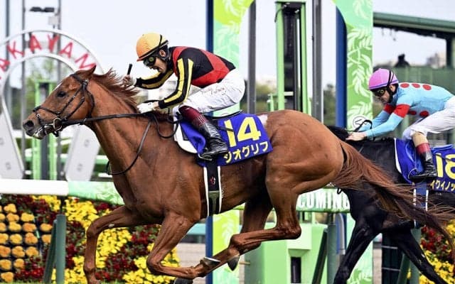 大混戦の安田記念 穴党記者の期待は「最強世代」のＧＩ馬２頭が見せる復活劇