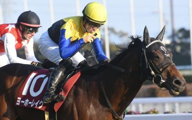 【鳴尾記念枠順確定】ヨーホーレイクは6枠9番、ロードデルレイは4枠6番