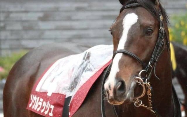 安田記念当日の東京は雨予報 「重馬場4戦4勝」と注目の道悪巧者は？