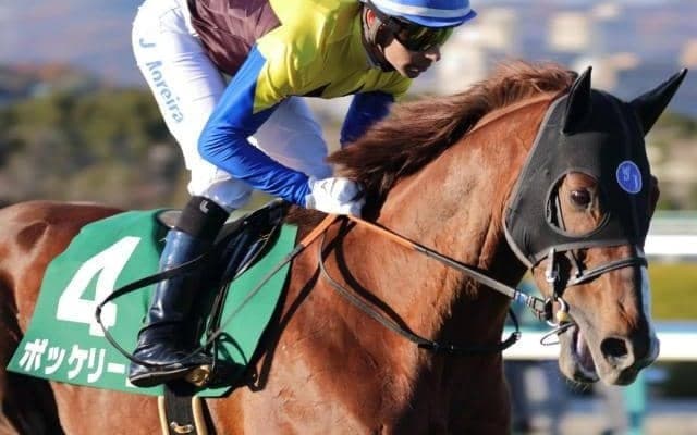 京都芝内回りは内ベターか モレイラ騎手のボッケリーニに期待