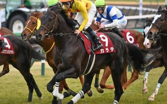 転厩初戦で4年連続重賞制覇達成へ 古豪カラテがルーキー高杉騎手とタッグ