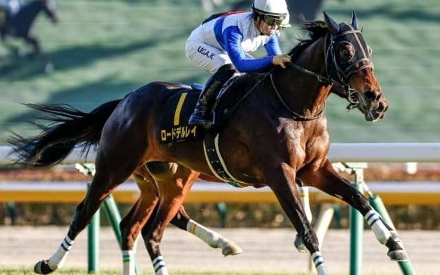 【鳴尾記念予想】今年は“京都”での開催 立ち回りの上手さが勝利のカギ握る
