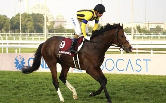 ゼッフィーロの競走馬登録抹消…アルゼンチン共和国杯V