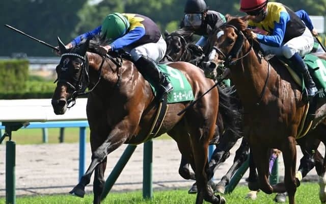 【鳴尾記念結果】ヨーホーレイクが接戦制す 約2年5か月ぶりの重賞V