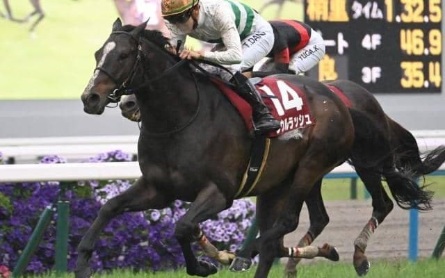 【安田記念予想】外国馬参戦で例年以上の盛り上がりを見せる最強マイラー決定戦！ 前走マイラーズCが不振傾向にある要因とは