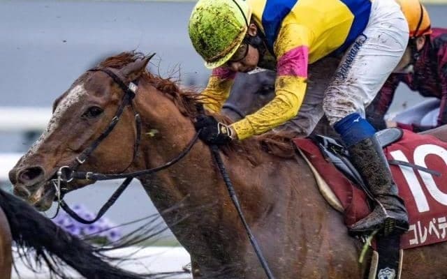 安田記念は道悪かも 上がりがかかってコレペティトールが波乱呼ぶ