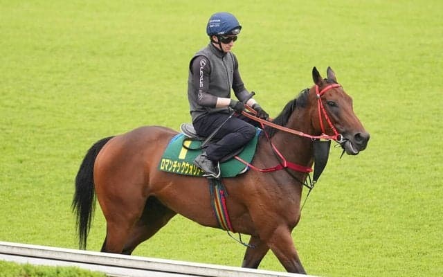 安田記念で有力視されている香港馬２頭は、本当に勝ち負けを演じるほど強いのか