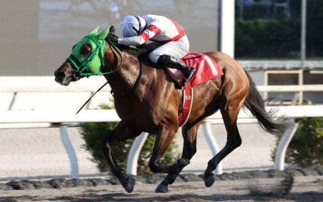 【高知・丸山台特別】ナムラスワガーが準重賞初勝利…多田羅「逃げれて良かった」