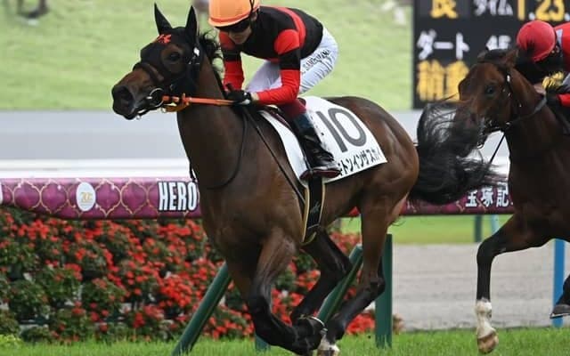 【京都5R新馬戦結果】キトンインザスカイがV シスキン産駒のJRA初勝利