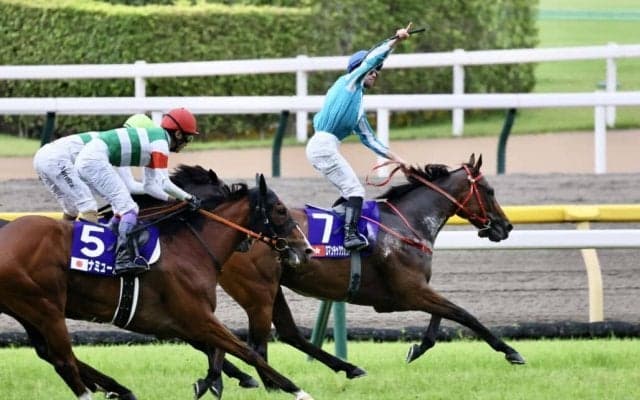 【安田記念】香港の雄！ロマンチックウォリアーが鮮やかに抜け出す