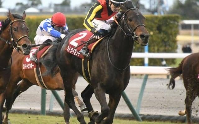 エプソムCと函館SS 大井では東京ダービー/今週の競馬界の見どころ