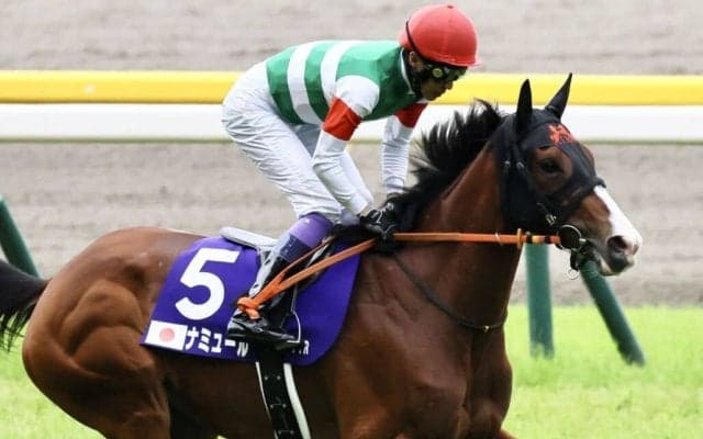 【安田記念】武豊「前走より活気があった」レース後ジョッキーコメント