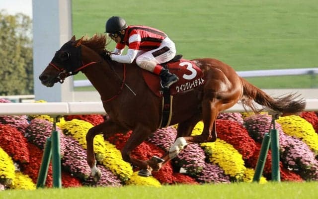 【函館SS登録馬】ウイングレイテストなど23頭