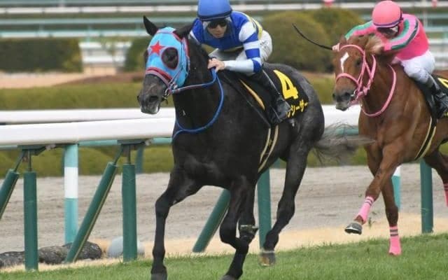 【函館SS見どころ】前走の経験値が生きるビッグシーザーの重賞初制覇に期待