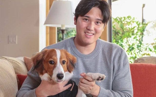 大谷の試合で珍光景「デコピンはどこ？」　球場でお散歩も…ファン羨望「可愛すぎる」