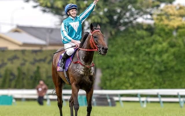 【宝塚記念】予備登録のロマンチックウォリアー、ヴォイッジバブルは出走せず