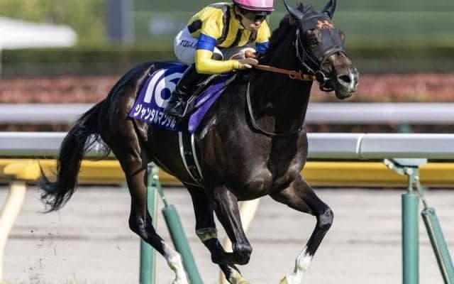 ジャンタルマンタルの父パレスマリスってどんな馬？ 24年からは日本で種牡馬生活スタート