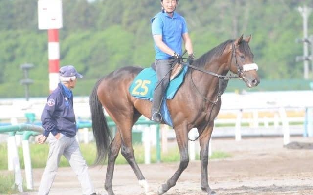 オークス馬の半弟もスタンバイ 国枝師「いいレベルにはあると思う」/関東馬メイクデビュー情報