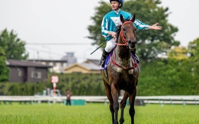 香港馬ロマンチックウォリアーによる安田記念V 決まり手は環境の変化に動じない“精神力”