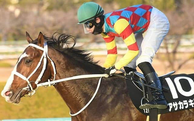 【函館SS想定騎手】アサカラキングは斎藤新騎手、サトノレーヴは浜中俊騎手