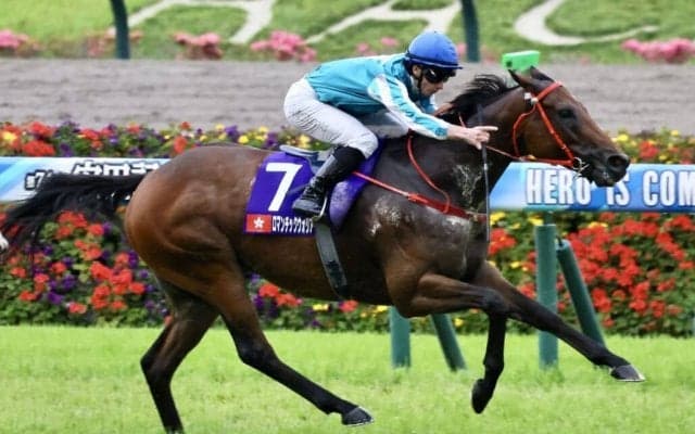 香港勢ロマンチックウォリアー、ヴォイッジバブルは宝塚記念を辞退