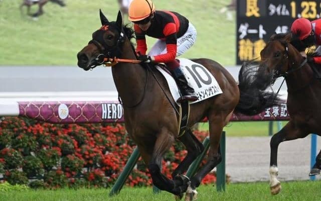中央競馬でも新馬戦が開幕 血統評論家から見た新種牡馬の感想は？