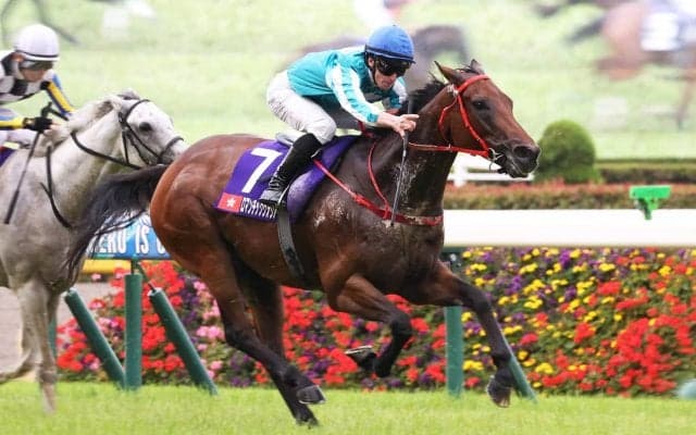 外国馬を苦しめた日本の高速馬場を“一発回答”　ロマンチックウォリアー勝利の裏にある「国内マイル戦線の空洞化」【安田記念】