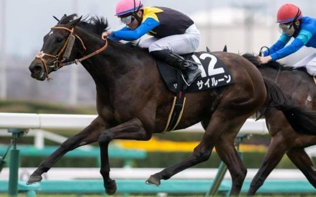 名マイラー・ノースフライトの孫 素質開花しエプソムCで初制覇狙う