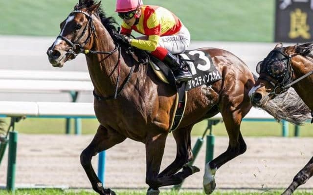 JRA重賞66勝を誇る名門初のスプリント重賞制覇へ 函館SSで4度目の正直なるか