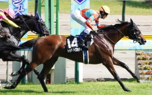 エプソムC最多4度制覇のディープインパクト産駒 3頭の仔たちが記録を伸ばせるか