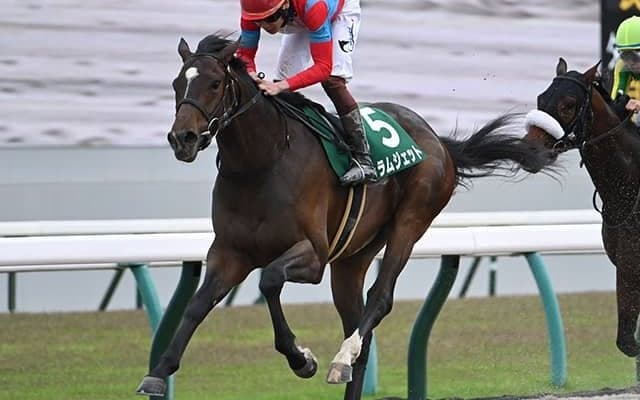東京ダービーは「ユニコーンS組」が狙いに 京都好走馬に注目したい理由