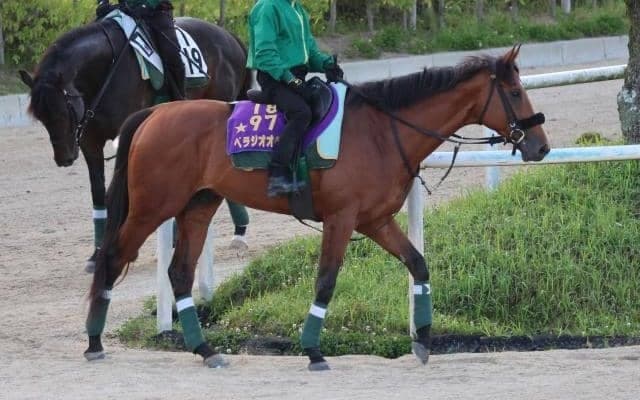 ベラジオオペラ、宝塚記念2週前追い切り速報/栗東トレセンニュース