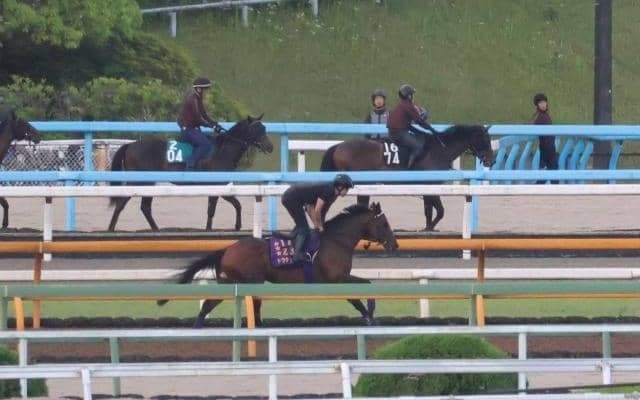 ドウデュース、宝塚記念2週前追い切り速報/栗東トレセンニュース