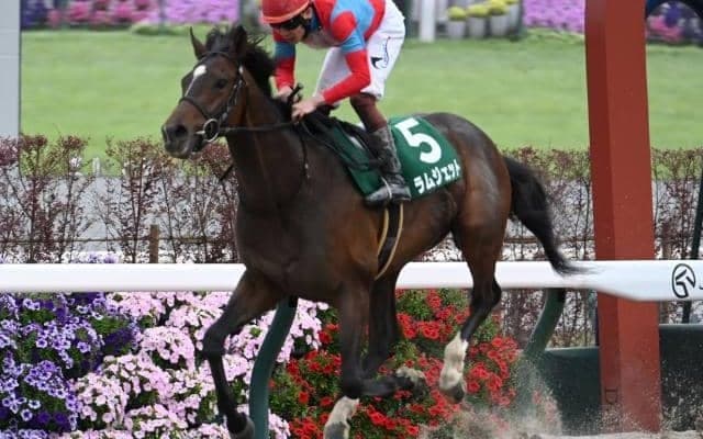 【東京ダービー注目馬】3歳ダート王者の座はどの馬に 1着賞金1億円を争う大一番