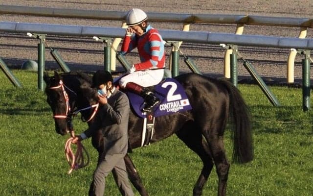 キングカメハメハ、コントレイルが顕彰馬に選定