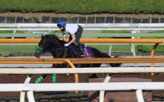 ジャスティンパレス、宝塚記念2週前追い切り速報/栗東トレセンニュース
