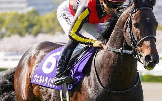 コントレイル世代の実力馬 2度の屈腱炎乗り越えエプソムCで復活Vへ